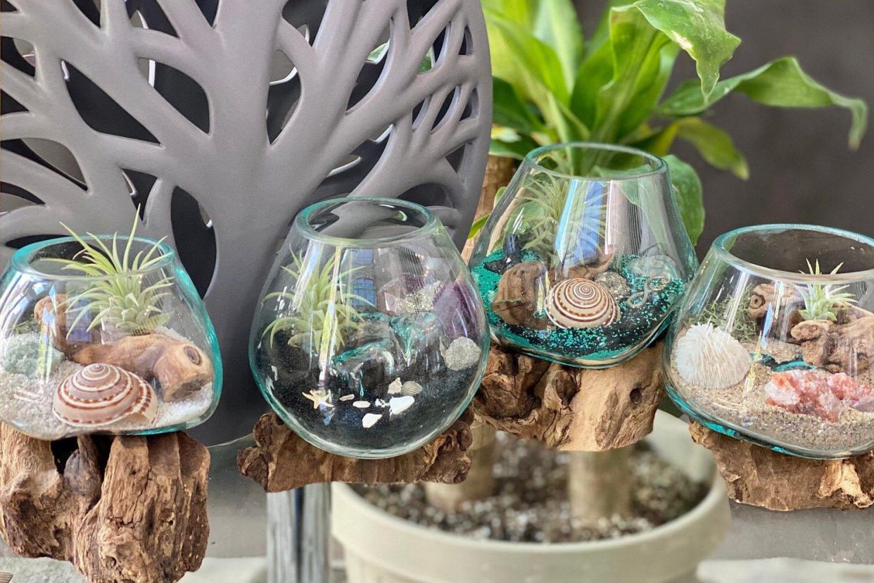 Beach Terrarium in Hand-Blown Glass