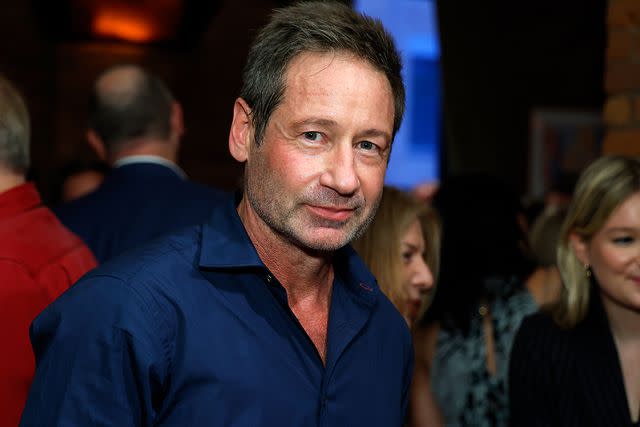 <p>John Lamparski/Getty Images</p> David Duchovny