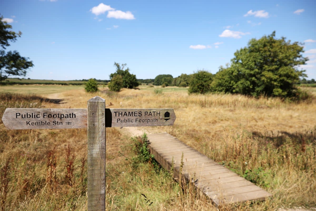 Businesses must have a green strategy to play their part (AFP via Getty Images)