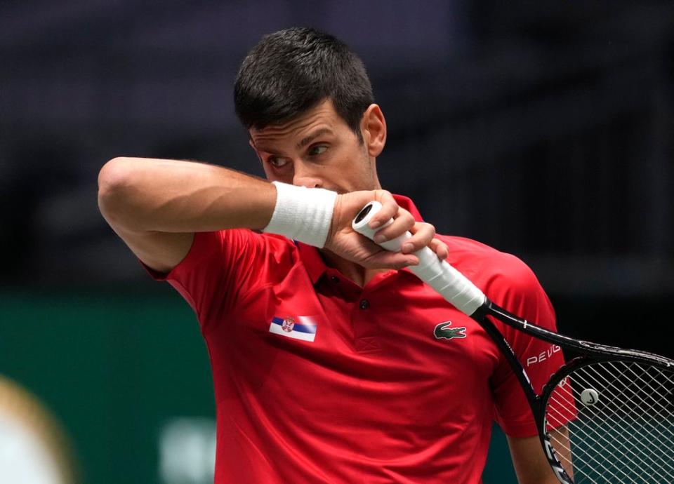 Novak Djokovic was unable to guide Serbia to victory (Michael Probst/AP) (AP)