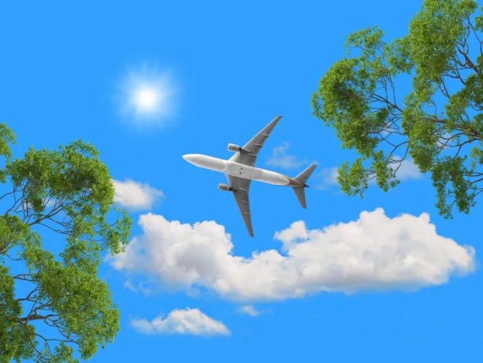 Airplane flying over trees.