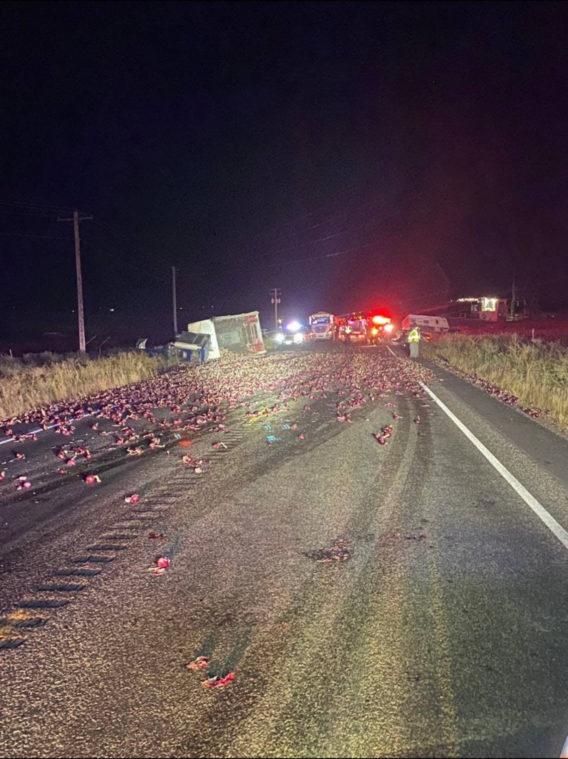 A semi truck and trailer dumped a load of onions across Highway 221 after it was hit by an oncoming car late Tuesday.