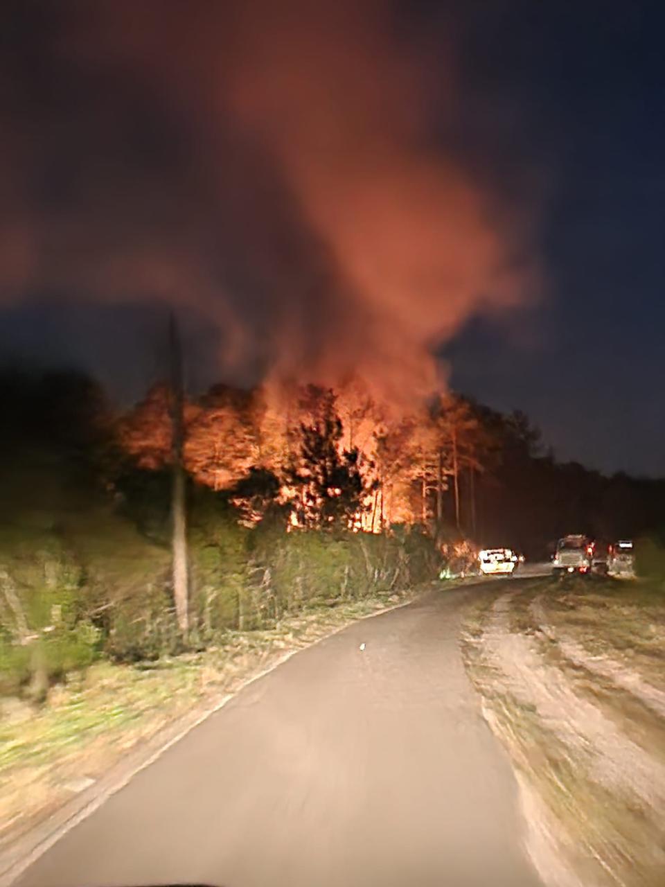 Wildfire burns in the Port Orange area off Shunz Road.