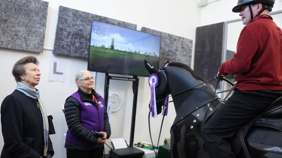 Watching a demonstration on a mechanical horse