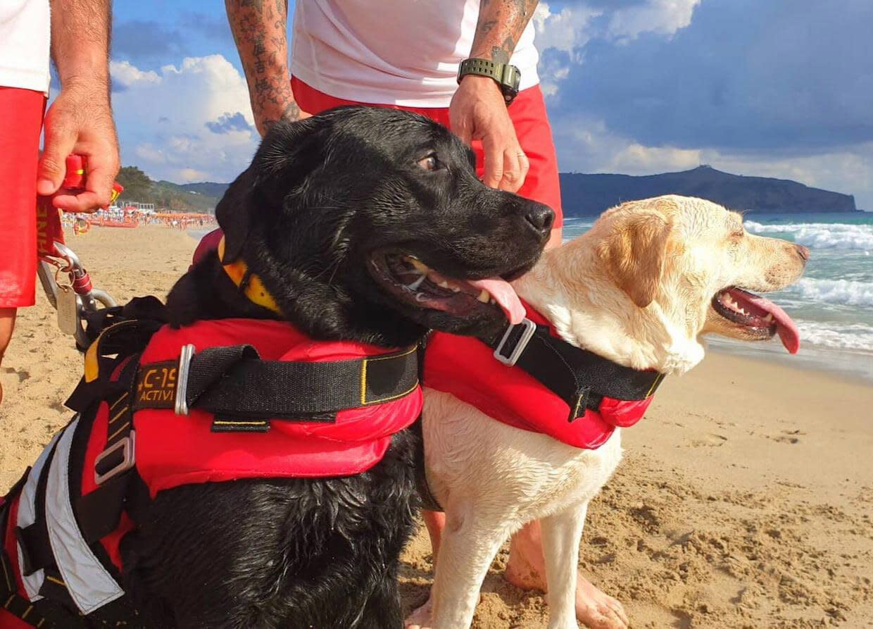 SICS Scuola Italiana Cani Salvataggio-Tirreno