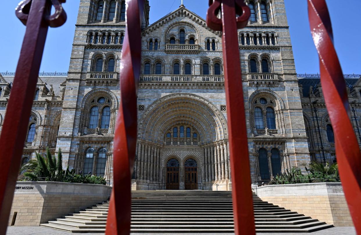 <p>The Natural History Museum, which is currently closed to visitors, will not reopen until 17 May at the earliest</p> (AFP/Getty)