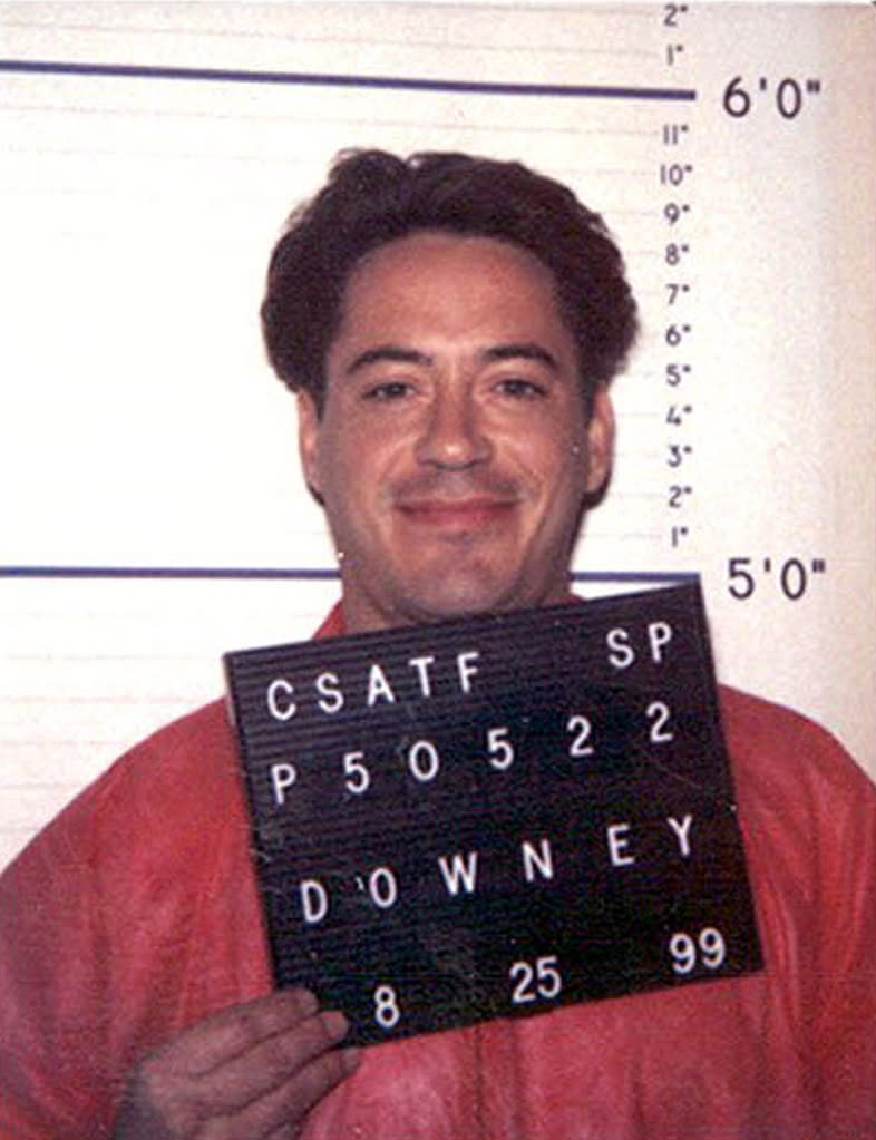 The Highs and Lows of Robert Downey Jr. Gallery 2010 Mug Shot