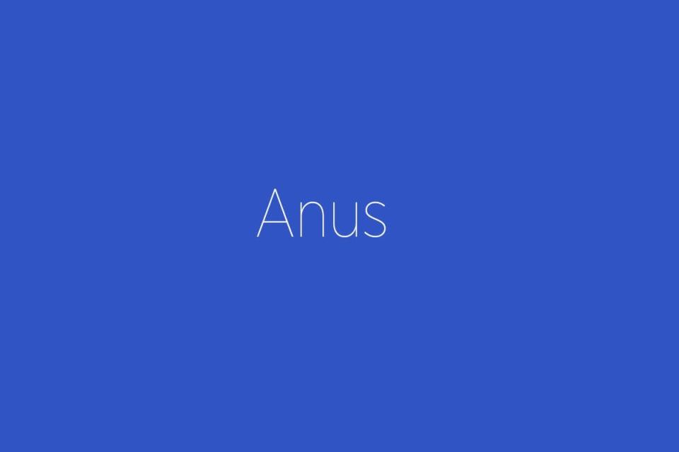 Anus (Danemark)