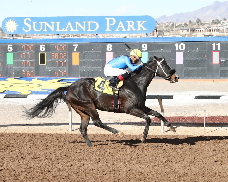 Competitive Idea won the 6 furlong Fort Bliss Stakes on Sunday at Sunland Park Racetrack & Casino for trainer Dick Cappellucci and jockey Luis Fuentes.