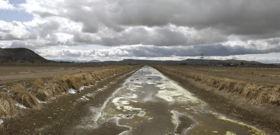 FILE - In this March 10, 2010, file photo, an irrigation canal stands dry on the Klamath Reclamation Project near Klamath Falls, Ore. President Donald Trump has ordered the government to streamline regulations that he says are hindering work on four major water projects in the Western United States. Trump signed a memorandum Friday, Oct. 19,2018 aimed at helping the Central Valley Project and the California State Water Project in California, the Klamath Irrigation Project in Oregon and the federal Columbia River system in the Pacific Northwest. (AP Photo/Jeff Barnard, File)