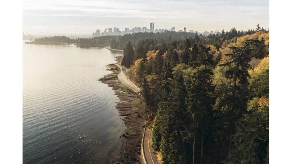Aerial shot of Stanley Park in Vancouver, British Columbia