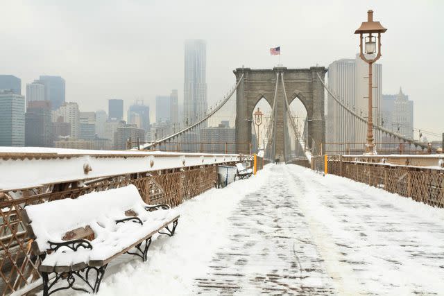 <p>lightphoto/Getty Images</p>