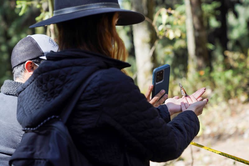 A tourist holds a monarch butterfly as other takes a picture at El Rosario sanctuary, in El Rosario