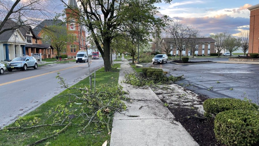 Wednesday's severe storms brought down several trees in Bucyrus, Crawford County. (NBC4)