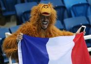 <p>A French supporter cheers on swimmers during the Rio Olympics. REUTERS/Marcos Brindicci </p>