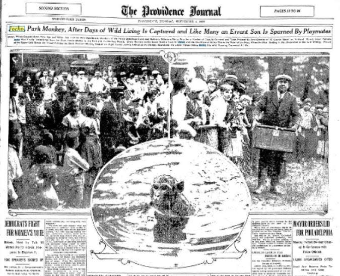 A clip from The Providence Journal when Jocko was brought back to Roger Williams Park Zoo in 1928.