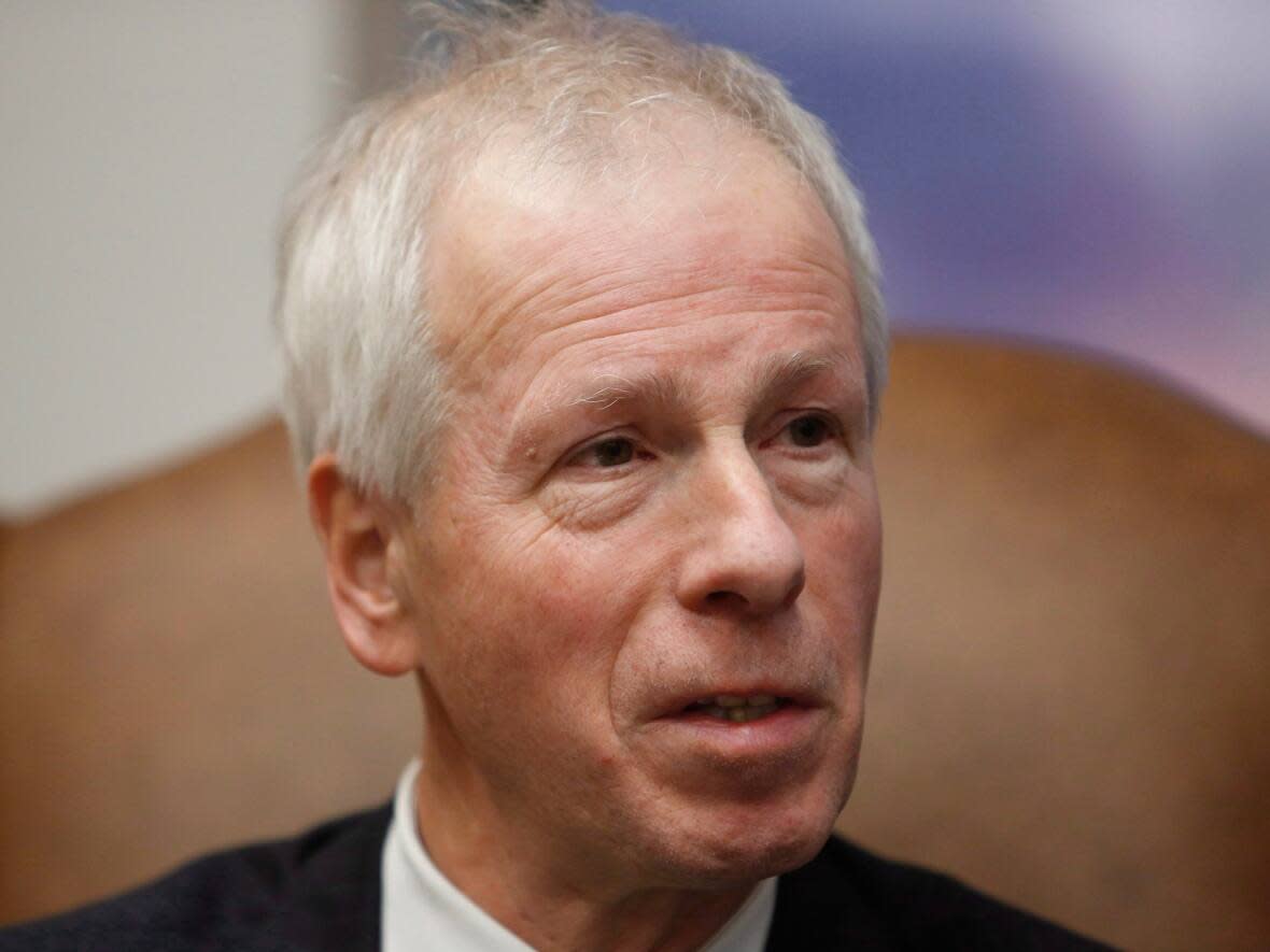 Former Foreign Affairs Minister Stéphane Dion will become Canada's ambassador to France, sources told Radio-Canada. (Fred Chartrand/Canadian Press - image credit)