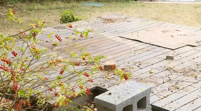 原本擺放神社的位置只剩下木頭棧板，還留有神龕的痕跡。（圖／東森新聞）