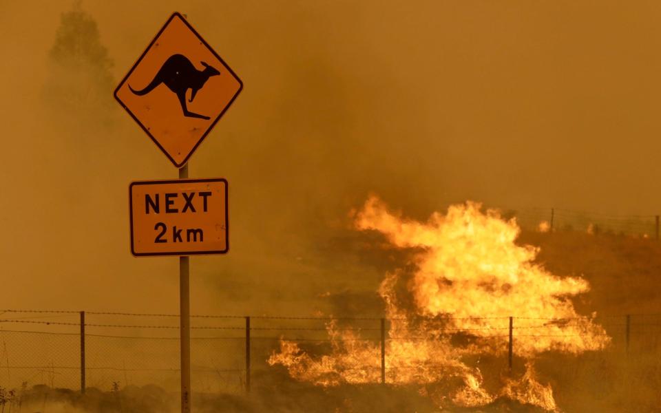 Climate holdout Australia sets 2050 net zero emissions target ahead of Cop26 - Rick Rycroft /AP