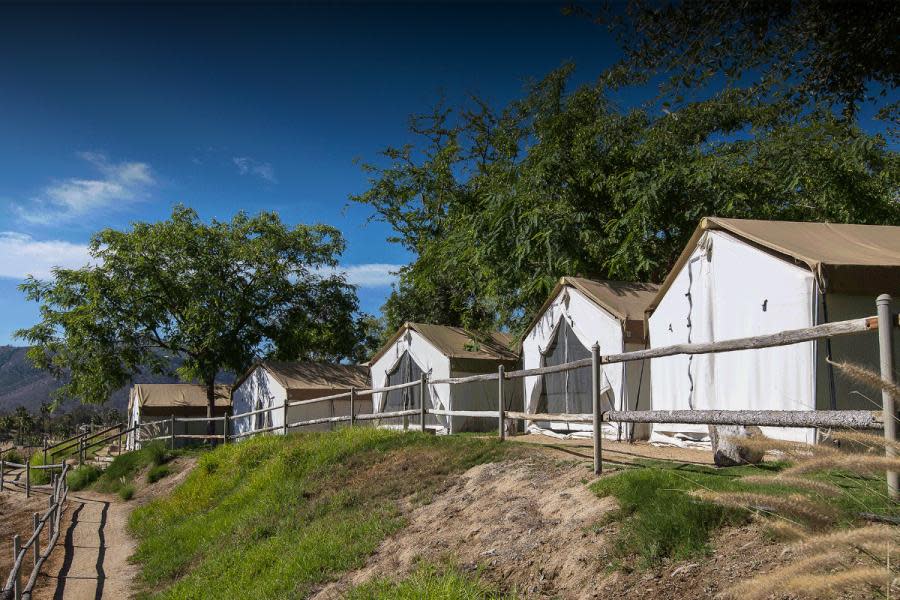 Ya puedes acampar en el Safari del Zoológico de San Diego