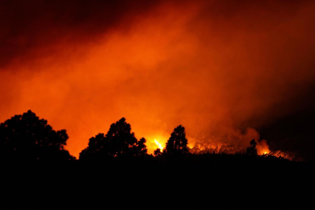 Flames in the vicinity of the municipality of Afaro, on August 17, 2023, in Afaro, Tenerife, Canary Islands (Spain). The forest fire declared in the bush area in Arafo is 