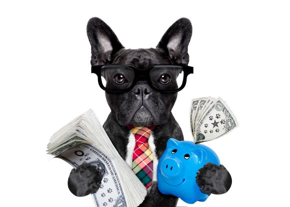 A dog wearing glasses and a tie holding money and a piggy bank.
