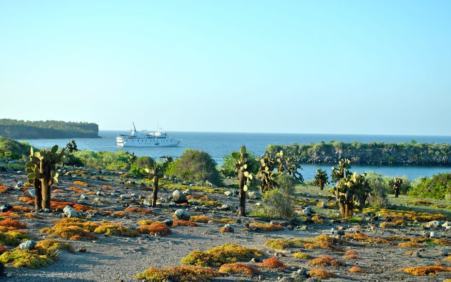 Galpagos, Ecuador