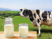 <p>Regular cow's milk provides an array of healthy vitamins and nutrients, such as vitamin D, calcium, potassium, niacin and protein. It also contains saturated fat. It is beneficial for healthy bones, dental health, reducing obesity in children, protection from thyroid diseases, and cardiovascular health.</p> 