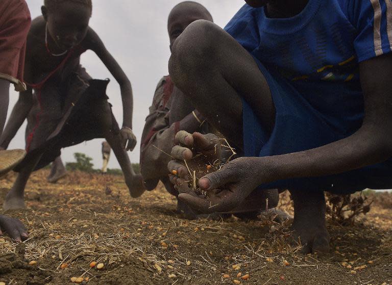 Children gather grain spilled from bags busted open following a food-drop on February 24, 2015 at a village in Nyal, near the northern border with Sudan