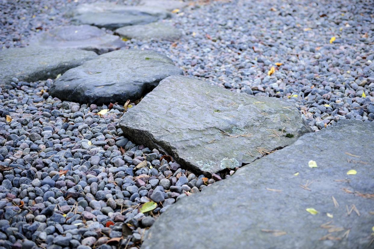 Stepping stones towards the pond