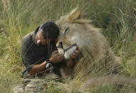 <p>Kevin Richardson, known locally as “the lion whisperer,” interacts with one of his friends while out for a walk in the Dinokeng Game Reserve, near Pretoria, South Africa, March 15, 2017. (Photo: Denis Farrell/AP) </p>