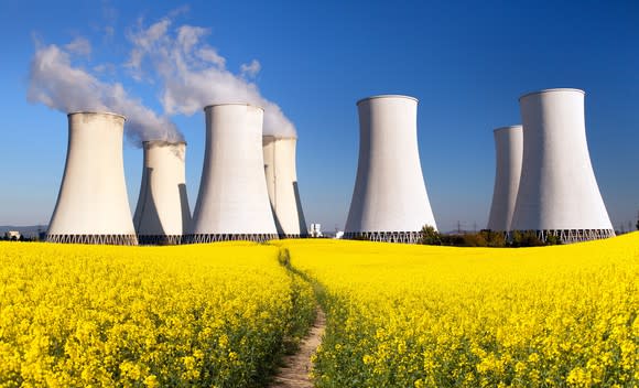 Nuclear power plant in a field of flowers