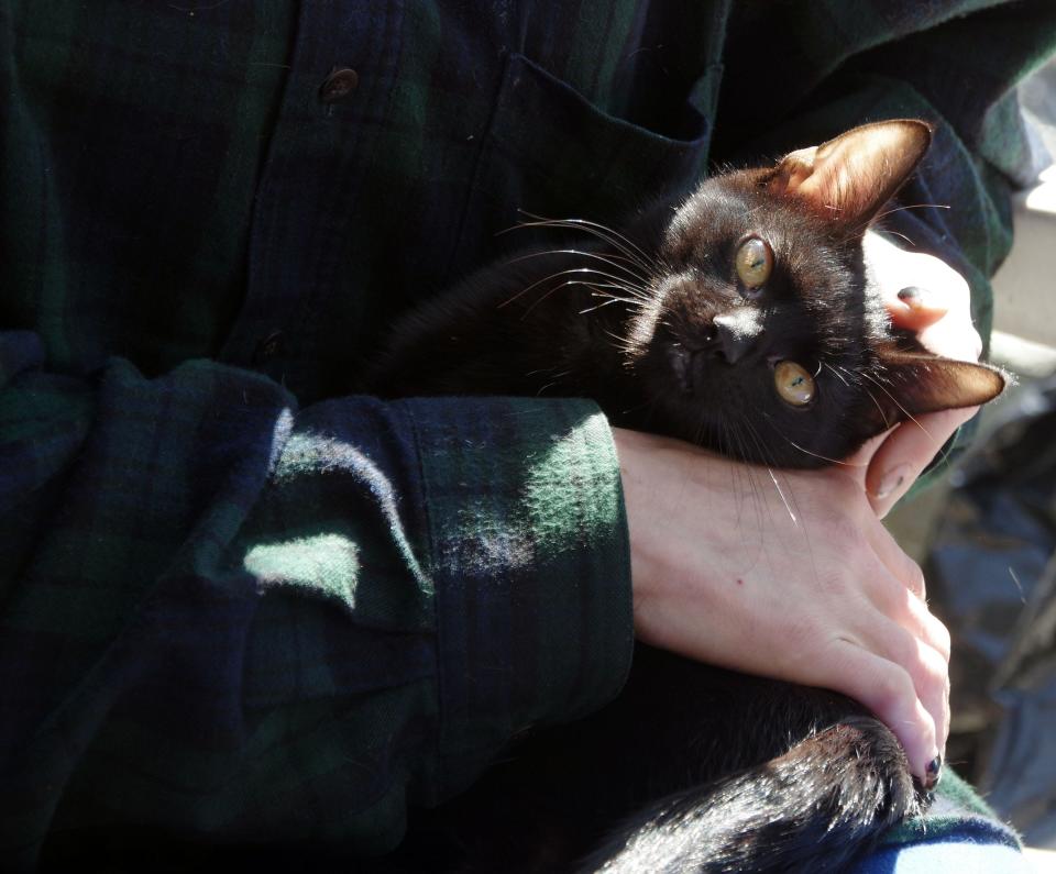 An unnamed woman who is experiencing homelessness and lives at D.W. Field Park in Brockton holds her cat Panther on Monday, April 22, 2024.