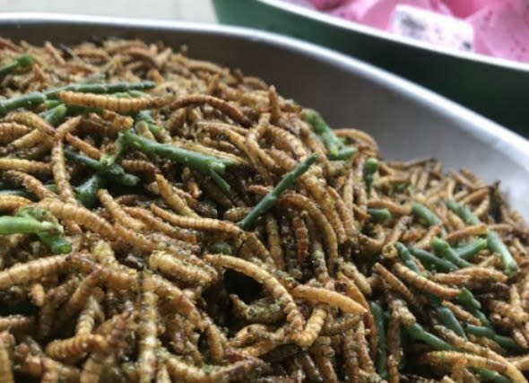 Just one bug-based meal can have a huge impact. Photo: Supplied