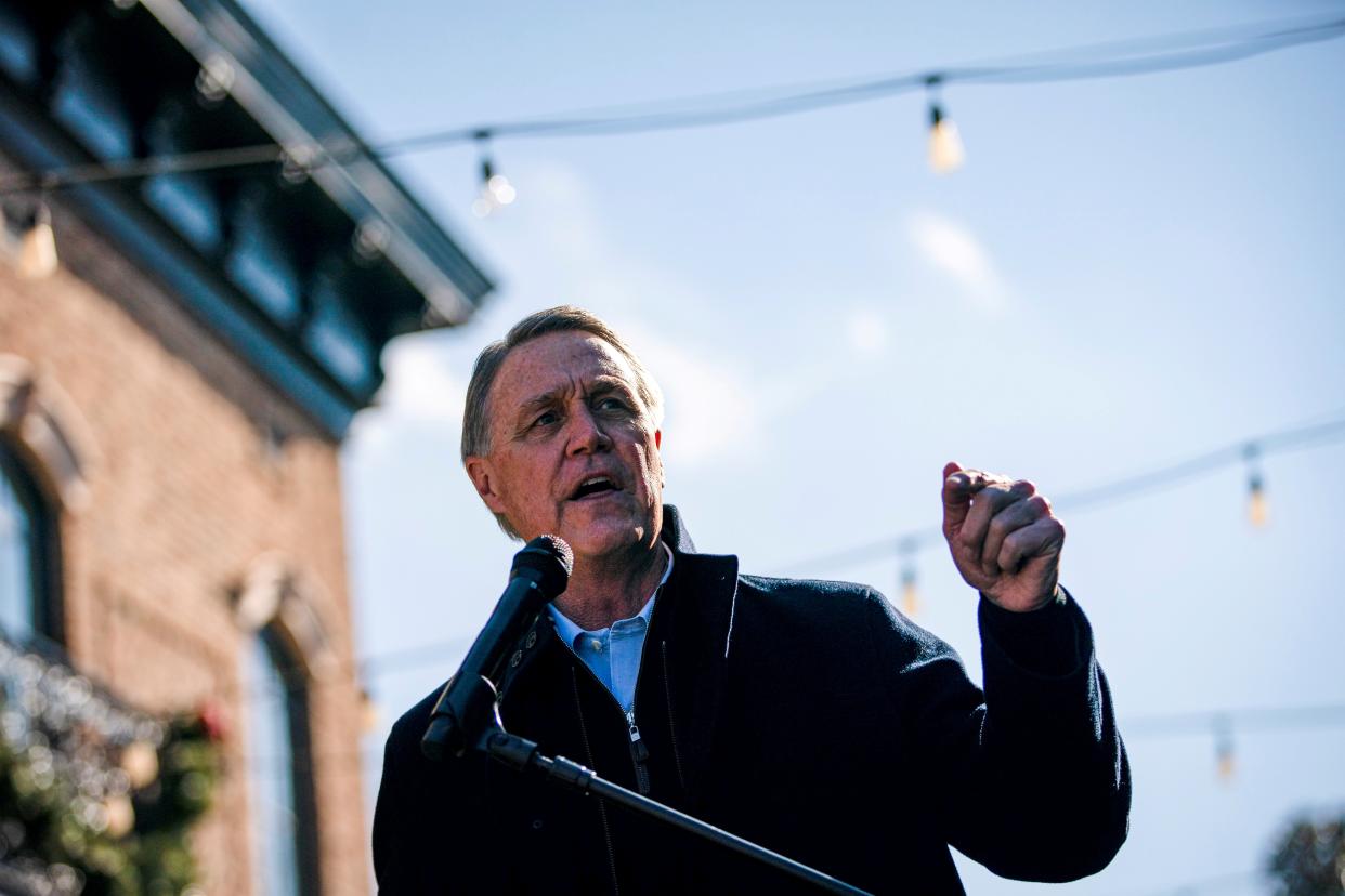 <p>Former Republican senator David Perdue</p> (REUTERS)