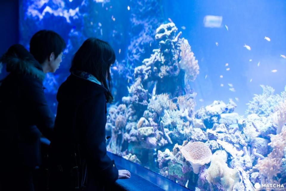 池袋Sunshine水族館