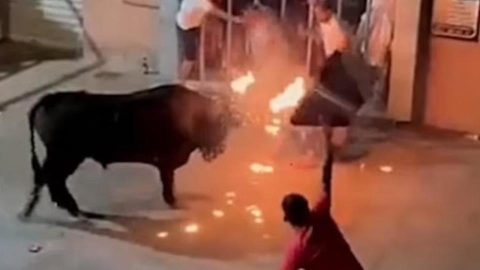 奔牛活動「toro embolado」，也就是在牛角上綁上易燃物並將其點燃，於夜晚將牛放到大街上狂奔。（圖／翻攝自每日郵報）