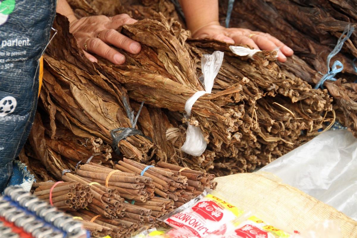 Tobacco in indigenous culture