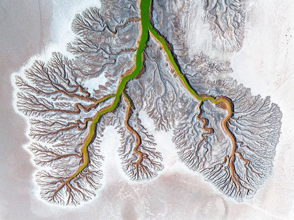 Primer clasificado: "The Exhausted Lungs Of Earth"