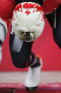 <p>A closer look at the polar bear being donned by Canadian riders. </p>