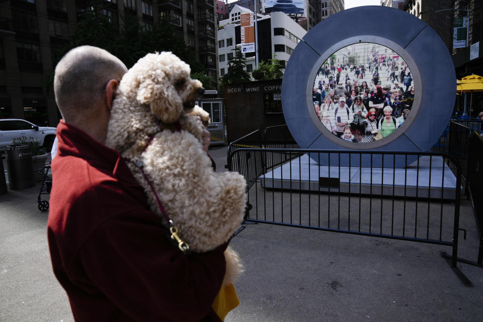 A man holds up his dog so that pedestrians in Dublin, Ireland, can see them through a livestream portal as part of an art installation on the street in New York, Tuesday, May 14, 2024. (AP Photo/Seth Wenig)