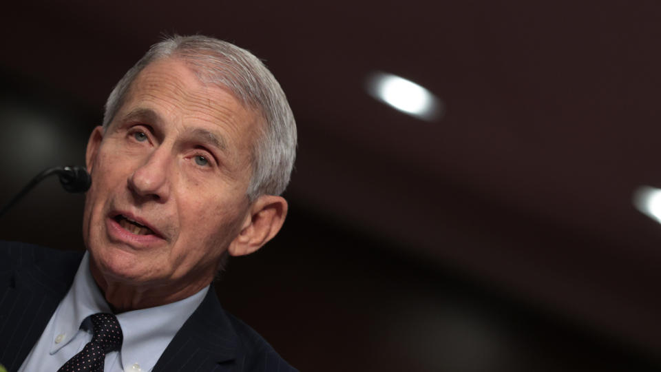 Dr. Anthony Fauci, director of the National Institute of Allergy and Infectious Diseases, testifies before the Senate Health, Education, Labor, and Pensions Committee on Nov. 4 about the nation&#39;s ongoing response to the COVID-19 pandemic.
