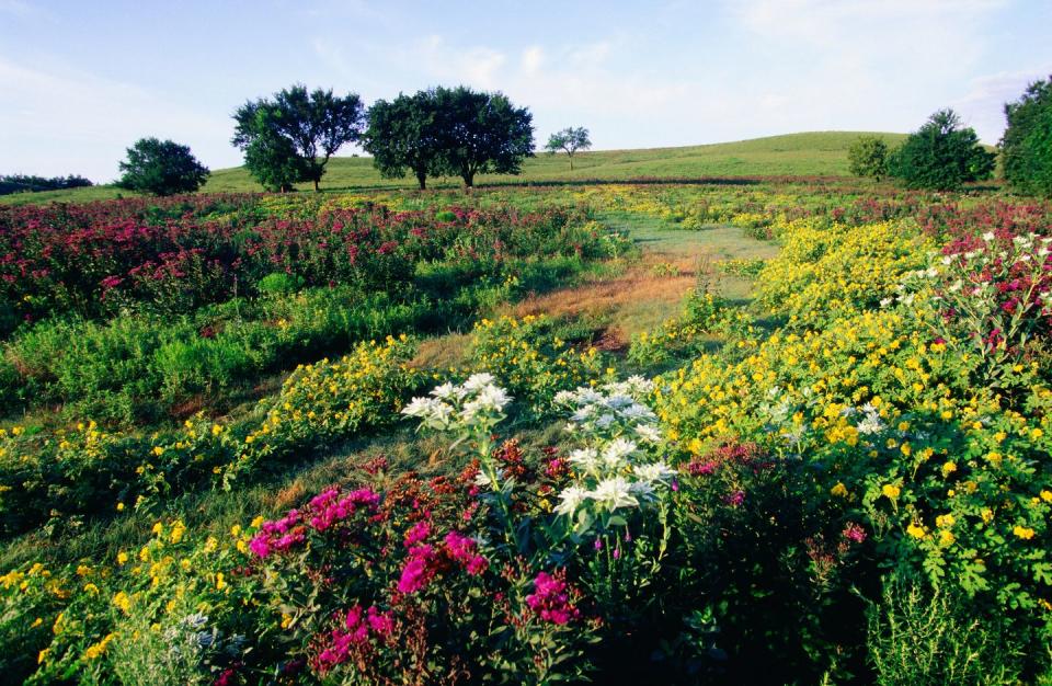 Flint Hills - Kansas