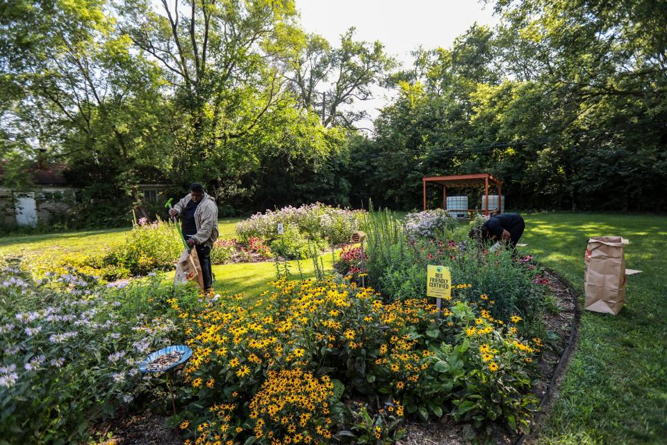 Co-founders Timothy Jackson, 37, of Detroit and Nicole Lindsey, 38, of Detroit, weed the garden at the Detroit Hives Brightmoor Pollinator Habitat in Detroit on July 28, 2021. Detroit Hives is expecting five volunteers from Share Detroit, a 501c3 nonprofit created to support all other nonprofits across metro Detroit by connecting volunteers and resources.