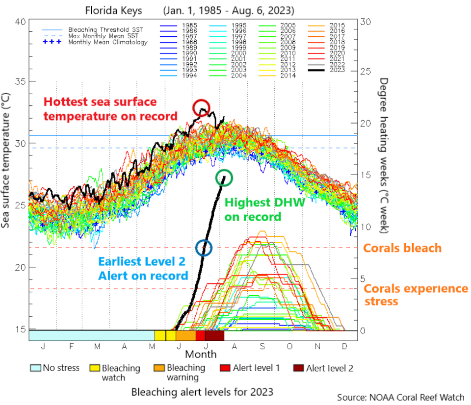 This year’s maximum sea surface temperature (top chart) and degree heating weeks (lower chart), a measure of accumulated heat stress, are the highest since record-keeping began. <a href="https://coralreefwatch.noaa.gov/data/vs/ts_figures/ts_multi_year/vs_ts_multiyr_florida_keys.png" rel="nofollow noopener" target="_blank" data-ylk="slk:Adapted from NOAA;elm:context_link;itc:0;sec:content-canvas" class="link ">Adapted from NOAA</a>