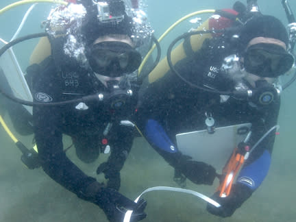 Student scientific divers-in-training conducting underwater surveys off Catalina Island with transect tape and dive slates. Image: David Ginsburg