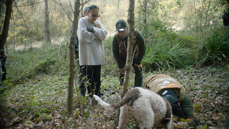 Nancy Silverton watches as a dog digs for a white truffle.