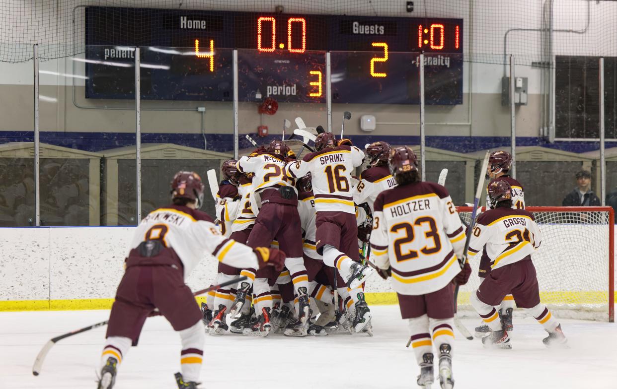 Walsh Jesuit players celebrate after defeating Hudson in a Division I district quarterfinal Wednesday at the Kent State Ice Arena.