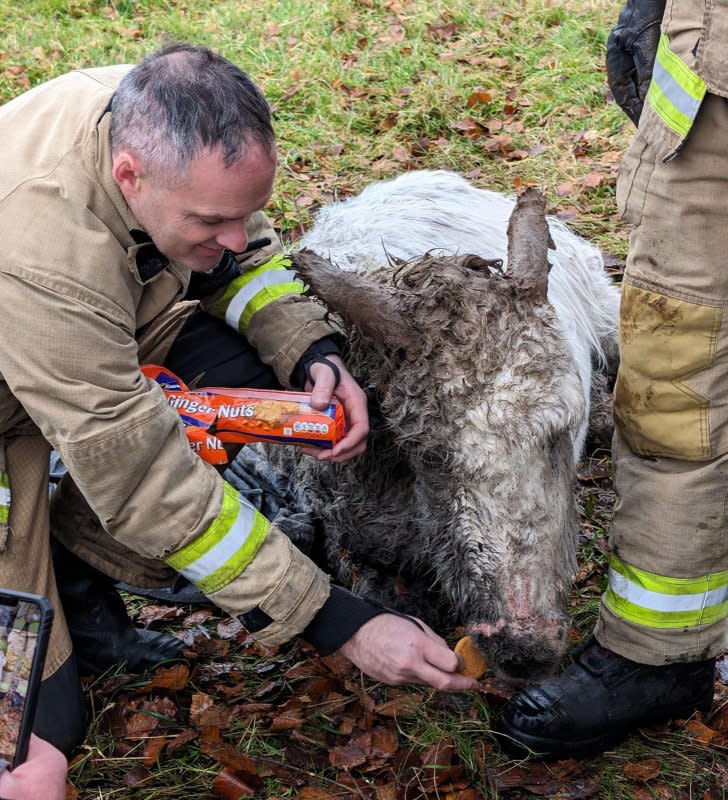 The Northern Ireland Fire & Rescue Service came to the assistance of a donkey named Snowie who ended up stranded in a muddy drainage ditch. Photo courtesy of NIFRS North/Facebook