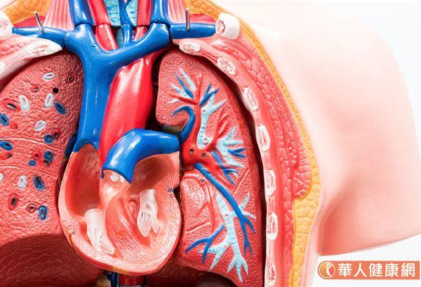 血壓愈正常喘卻愈明顯　當心主動脈瓣膜狹窄！經導管主動脈瓣膜置換手術救命